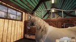 DLC Animal Shelter - Horse Shelter DLC КЛЮЧ* STEAM