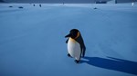 Penguin Helper КЛЮЧ* STEAM ВСЕ СТРАНЫ