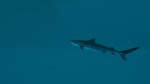 Ultimate Fishing Simulator 2 КЛЮЧ* STEAM РФ+СНГ