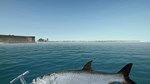 DLC Ultimate Fishing Simulator - Florida КЛЮЧ* STEAM