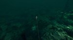 DLC Ultimate Fishing Simulator - Florida КЛЮЧ* STEAM