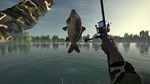 Ultimate Fishing Simulator КЛЮЧ* STEAM РФ+СНГ