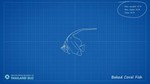 DLC Ultimate Fishing Simulator - Thailand КЛЮЧ* STEAM