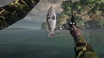DLC Ultimate Fishing Simulator - Thailand КЛЮЧ* STEAM