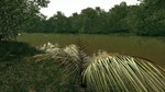 DLC Ultimate Fishing Simulator - Amazon River КЛЮЧ*