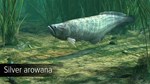 DLC Ultimate Fishing Simulator - Amazon River КЛЮЧ*