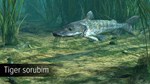 DLC Ultimate Fishing Simulator - Amazon River КЛЮЧ*