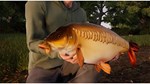 (DLC) Fishing Sim World: Pro Tour – Giant Carp Pack КЛЮ