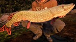 (DLC) Fishing Sim World: Pro Tour – Jezioro Bestii КЛЮЧ