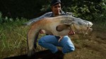 (DLC) Fishing Sim World: Pro Tour – Jezioro Bestii КЛЮЧ