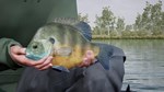 (DLC) Fishing Sim World: Pro Tour – Lake Williams КЛЮЧ*