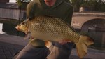 Fishing Sim World - Quad Lake Pass КЛЮЧ* STEAM ROW