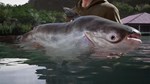 (DLC) Fishing Sim World: Pro Tour – Giant Carp Pack КЛЮ