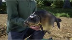 (DLC) Fishing Sim World: Pro Tour – Giant Carp Pack КЛЮ