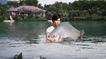 (DLC) Fishing Sim World: Pro Tour – Giant Carp Pack КЛЮ