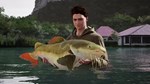 (DLC) Fishing Sim World: Pro Tour – Giant Carp Pack КЛЮ