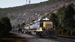 (DLC) Train Sim World*: CSX GP40-2 Loco Add-On КЛЮЧ*