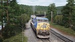 (DLC) Train Sim World* 2: CSX C40-8W Loco Add-On КЛЮЧ*