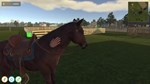 Animal Trainer Simulator КЛЮЧ* STEAM ВСЕ СТРАНЫ