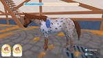 My Life: Riding Stables 3 КЛЮЧ* STEAM ВСЕ СТРАНЫ