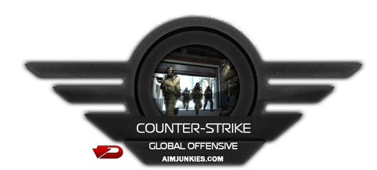 Aimjunkies - Counter-Strike GO Cheat - 1 Month