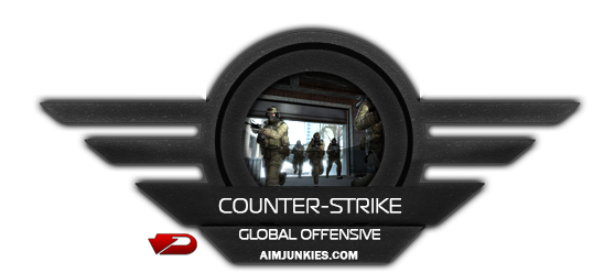 Aimjunkies - Counter-Strike GO Cheat - 3 Month.