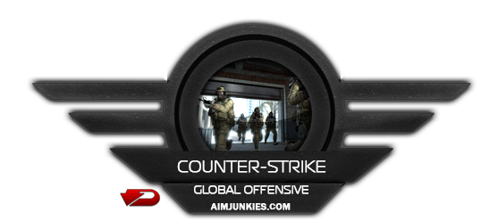 Aimjunkies - Counter-Strike GO Cheat - 3 Month