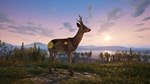 **DEADSIDE XBOX SERIES X|S КЛЮЧ