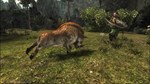 **RISEN (2009) XBOX ONE/X|S КЛЮЧ