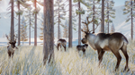 Planet Zoo: Arctic Pack DLC * STEAM * RU/UA/KZ/СНГ
