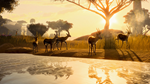 Planet Zoo Deluxe Edition Upgrade Pack DLC * STEAM