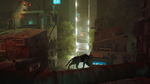 Stray * STEAM * АВТО * RU/UA/KZ/СНГ