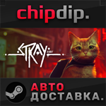Stray * STEAM * АВТО * RU/UA/KZ/СНГ