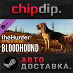 theHunter: Call of the Wild™ - Bloodhound DLC*STEAM