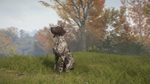 theHunter: Call of the Wild-German Shorthaired Pointer
