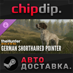 theHunter: Call of the Wild-German Shorthaired Pointer