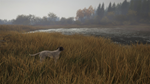 theHunter: Call of the Wild-German Shorthaired Pointer