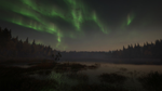 theHunter: Call of the Wild - Revontuli Coast DLC STEAM