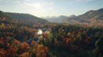 theHunter: Call of the Wild™ New England Mountains DLC