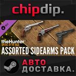 theHunter: Call of the Wild Assorted Sidearms Pack DLC