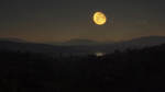 theHunter: Call of the Wild - Parque Fernando DLC STEAM