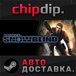 Project: Snowblind STEAM АВТО RU/UA/KZ/СНГ