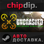 Uncrashed : FPV Drone Sim STEAM АВТО RU/UA/KZ/СНГ