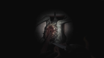 SCP: 5K STEAM АВТО RU/UA/KZ/СНГ