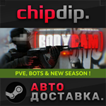 Bodycam STEAM АВТО RU/UA/KZ/СНГ