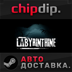 Labyrinthine STEAM АВТО RU/UA/KZ/СНГ