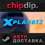X-Plane 12 STEAM АВТО RU/UA/KZ/СНГ