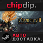 Divinity II Developer´s Cut STEAM АВТО RU/UA/KZ/СНГ