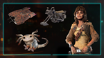 Star Wars Outlaws - Desert Nomad Bundle DLC STEAM АВТО