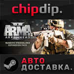 Arma X: Anniversary Edition STEAM АВТО RU/UA/KZ/СНГ